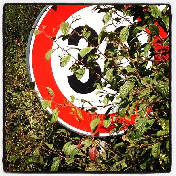 f69.jpg